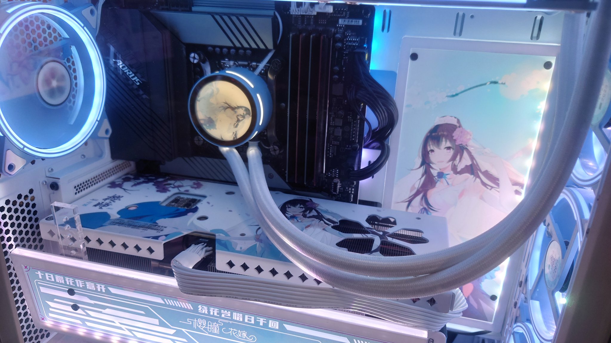 yeston PCケース ZC-09 櫻瞳花嫁 Amazon.co.jp: Zeaginal ZC-09