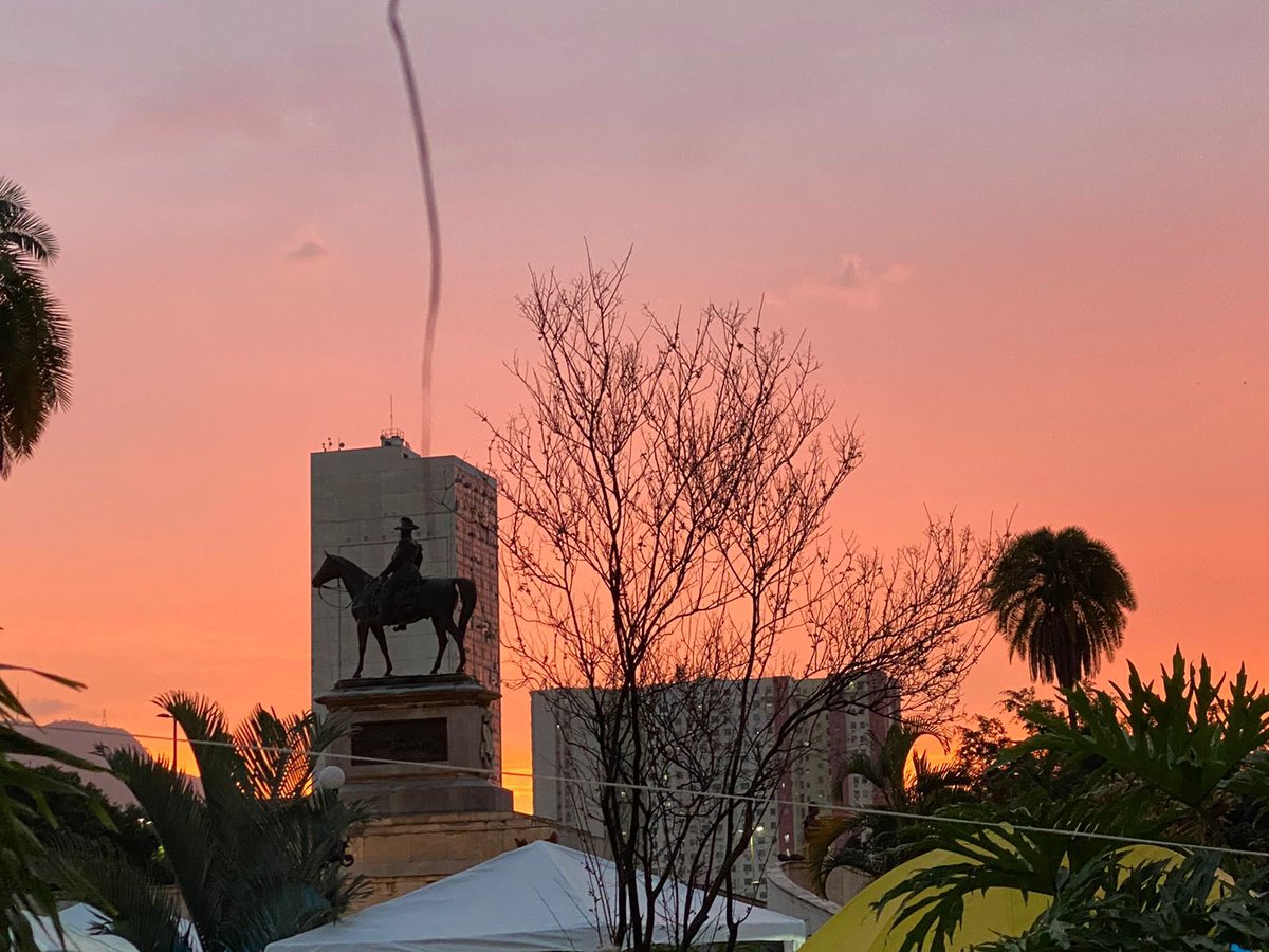 Jéssica tweet media