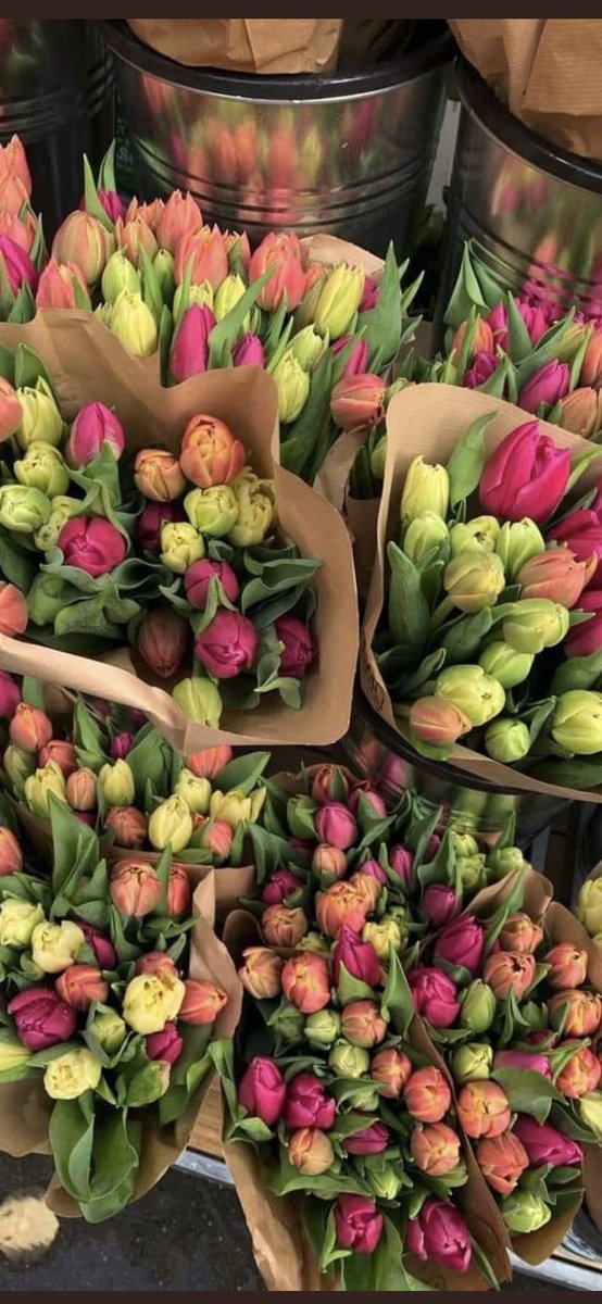 Let’s rock this joint. @SAfmRadio Taking a different view on your world but first tulips to cleanse your TL #SAFM104-107 07h00-10h00