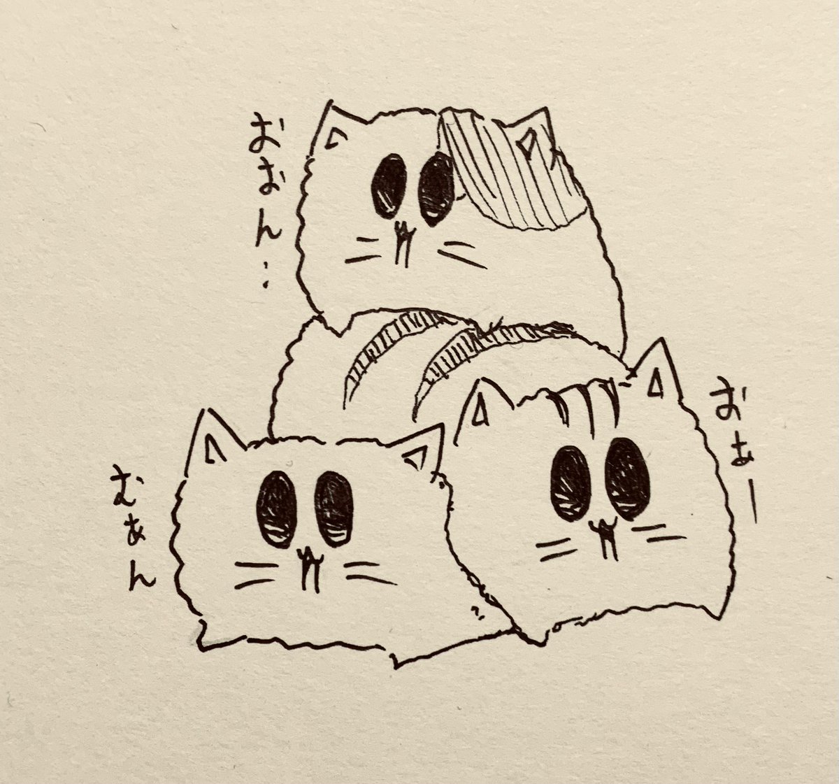 休日🐱 