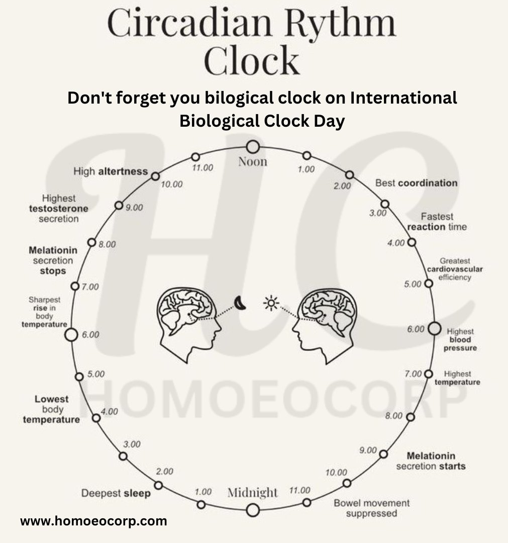 Respect your biological clock by maintaining consistent sleep and wake times, even on weekends. Your mind and body will thank you for it! ⏰

#biologicalclock #circadianrhythms #sleep #bodyclock #internalclock #routine #selflove #instahealth #homoeocorp #homoeopathytreatment