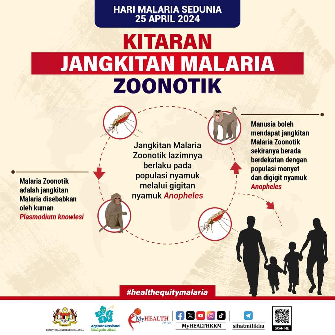 Jangkitan Malaria zoonotik lazimnya berlaku pada populasi monyet melalui gigitan nyamuk Anopheles.

Manusia boleh mendapat jangkitan Malaria Zoonotik sekiranya berada berdekatan dengan populasi monyet dan digigit nyamuk Anopheles.

#ANMS #healthequitymalaria #sihatmilikku