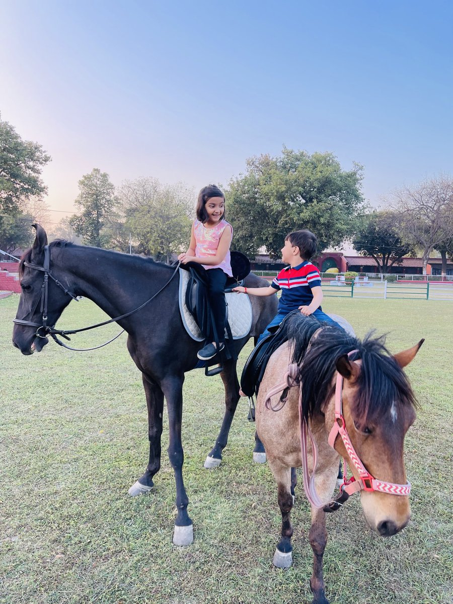 Vikasdevfinvest's tweet photo. The horse ride banters. Sibling bonds ❤️ https://t.co/0hncEyIEM9