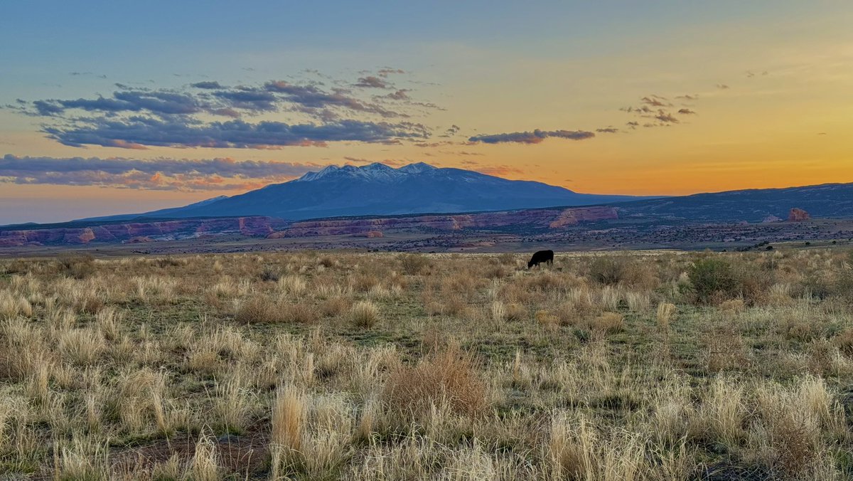 This #ScenicSunday, let's celebrate photography that looks like a painting! 🎨
Share your breathtaking captures that blur the line between reality and artistry. From dreamy landscapes to vibrant cityscapes, let's showcase and turn our feeds into galleries of visual delights! 🤩