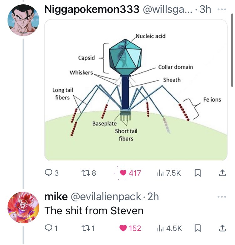 The shit from Steven