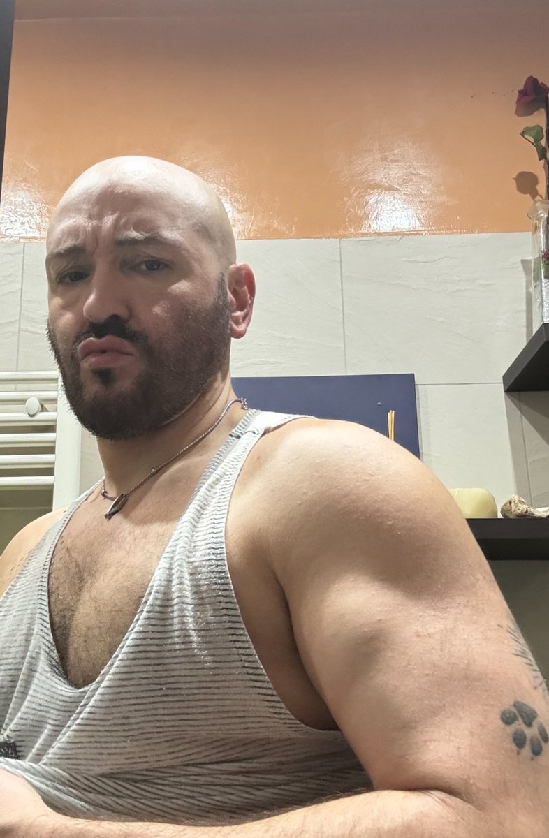 fabbrorex's tweet image. Stanco ..