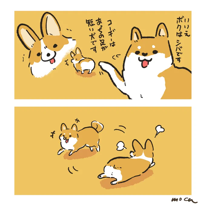 柴犬と短足コーギー🐕  #ものぐさコギさん