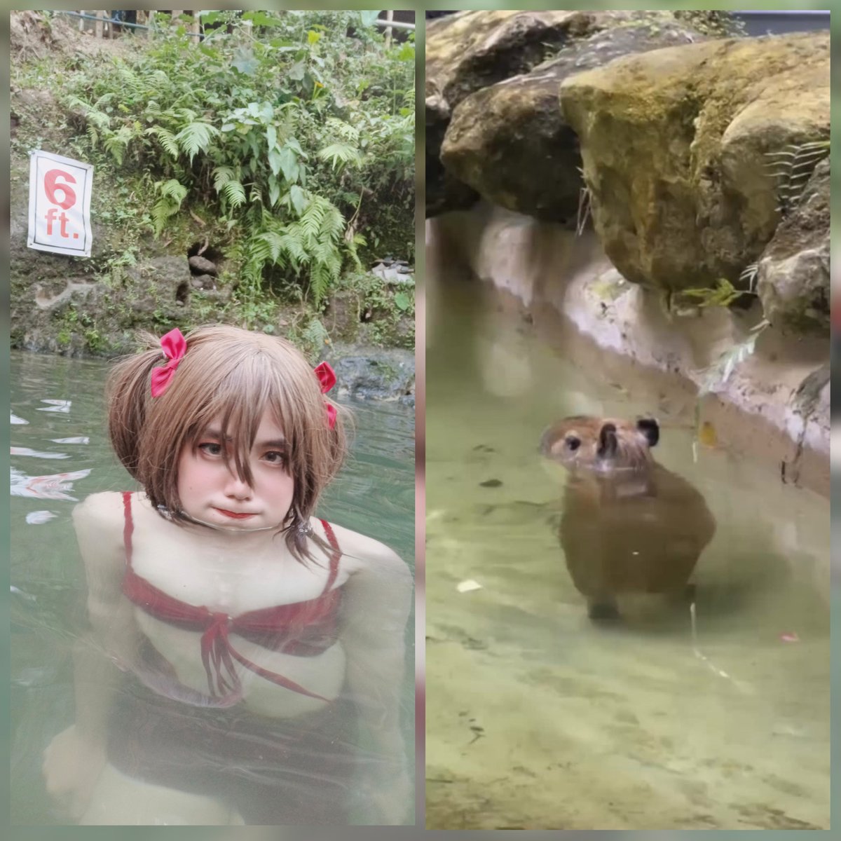 Mayumi Shirai | I MISS U MIKU, PLS COME BACK TO PH tweet media