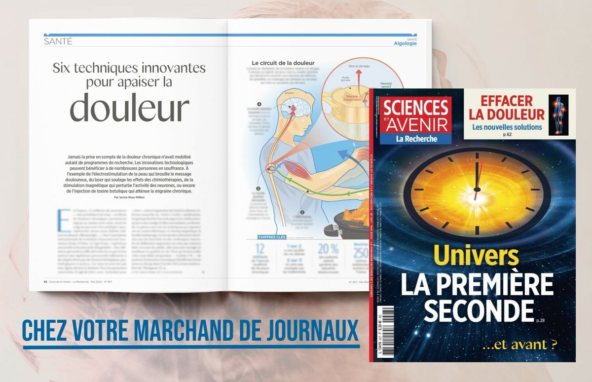 😣 Jamais la prise en compte de la douleur chronique n'avait mobilisé autant de programmes de recherche. Tour d'horizon de ces innovations. À retrouver dans Sciences et Avenir, chez votre marchand de journaux jusqu'au 22 mai, et sur abo.sciencesetavenir.fr/liseuse/