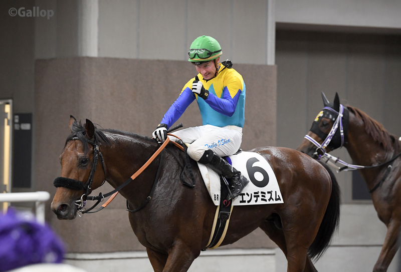 東京8Rは1番人気 #エンデミズム が勝利！ 4馬身差の圧勝！