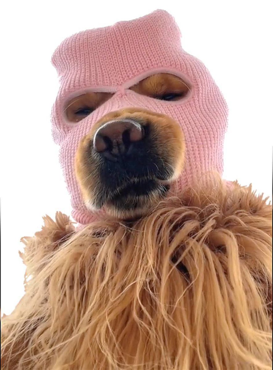 kaysan crypto gaming szn FaZe UP and Mask UP