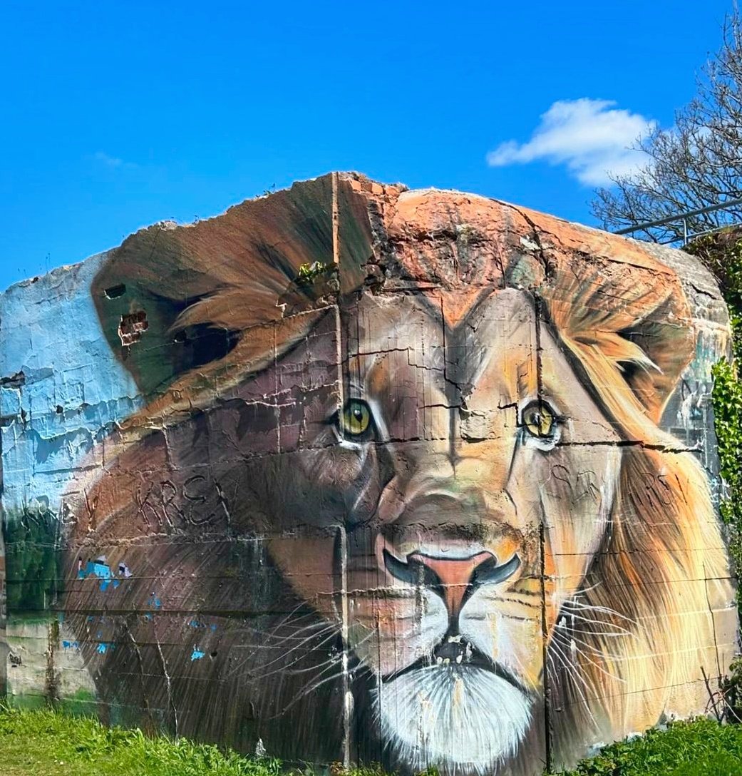 CapriceEnVie's tweet photo. Bonjour tout le monde !
#StreetArt
#bleseaone https://t.co/k0GrWFTQbo