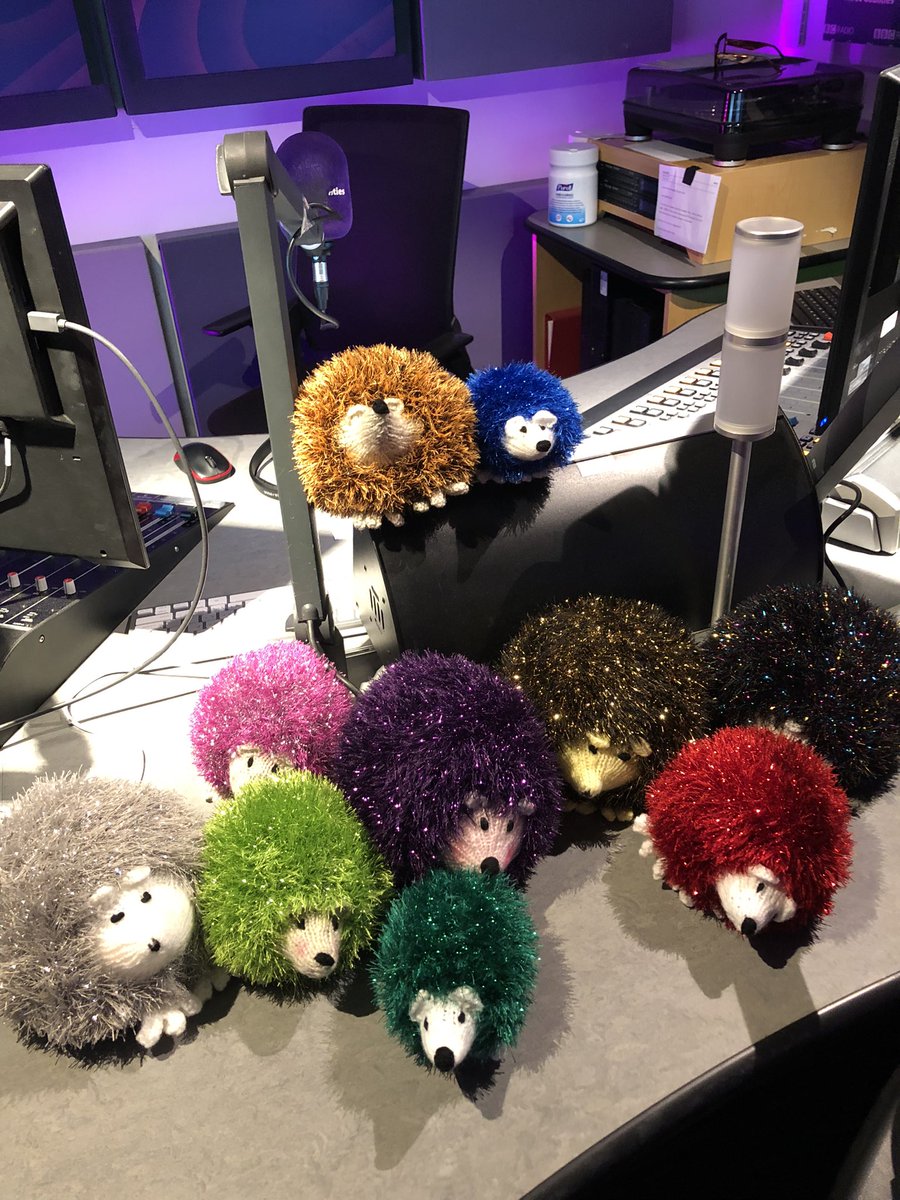 The studio has been taken over by knitted 🦔🦔 I’m joined by 🦔 @HornbeamWood sanctuary founder and a lovely knitted who makes 🦔 to fundraise. Join me, live now until 10am bbc.co.uk/programmes/p0h…