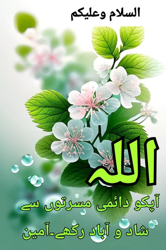 MKPK1's tweet photo. السلام علیکم!امید ہے اپ سب لوگ خیر و عافیت سے ہونگے۔
#P_PTi https://t.co/LIBGZrZlDg