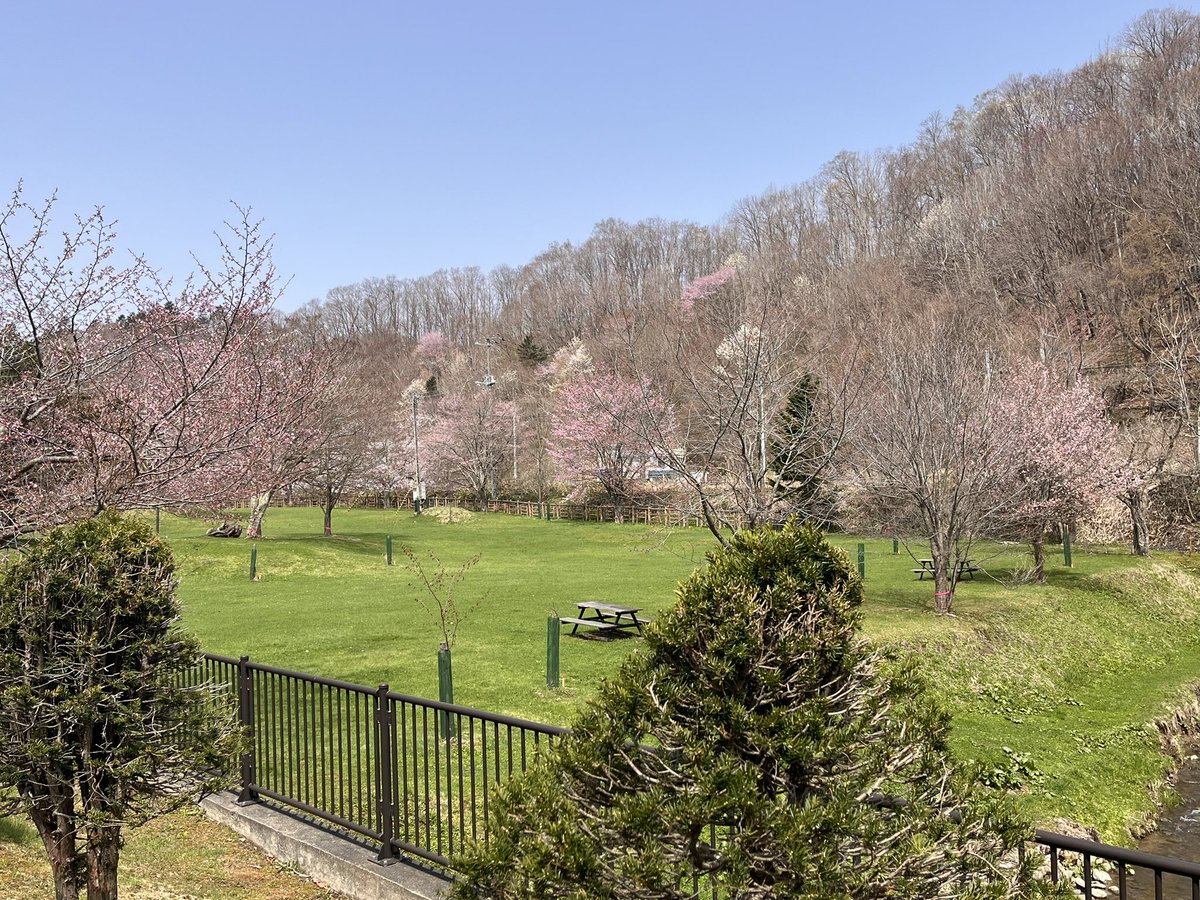@Since1984_miy 滝の上公園に桜を見に行ったけど、あまり咲いてなかった💦残念。
メロンの無人販売は見なかったかなぁ。