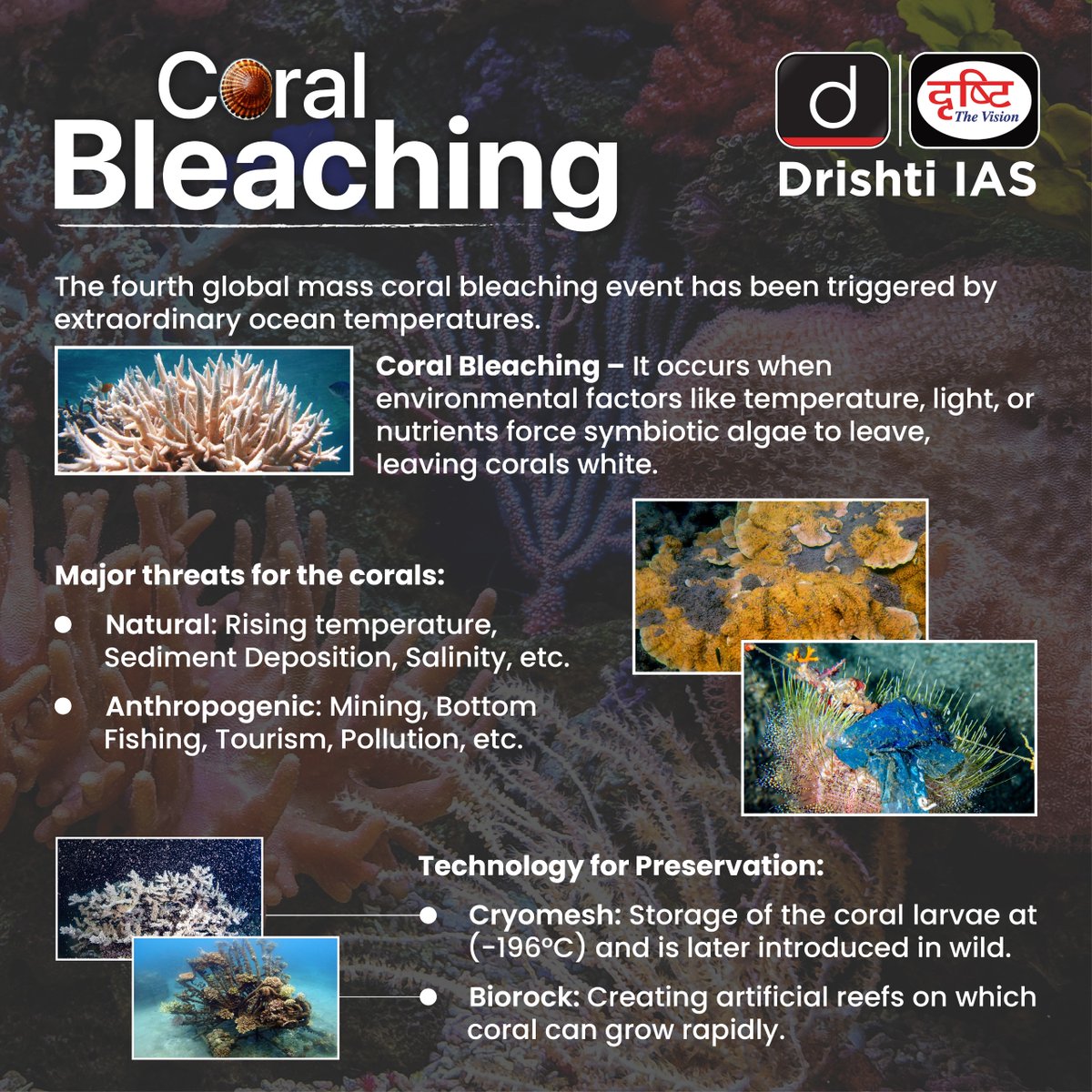 Learn how rising temperatures are pushing our coral reefs to the brink through #DrishtiInfographics

#CoralBleaching #CoralReef  #ArtificialReef #Reef  #MarineConservation #SaveTheReef  #Fishing #Tourism #Pollution #Prelims2024 #UPSC #UPSC2024 #IAS #DrishtiIAS #DrishtiIASEnglish