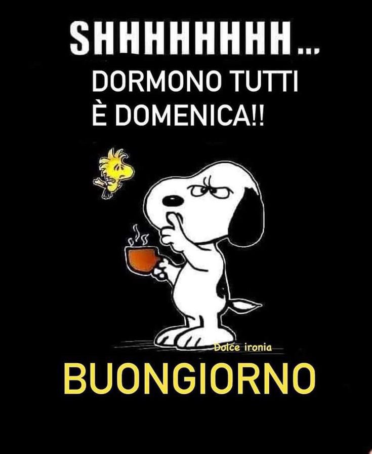 #Buongiorno #BuongiornoATutti #Domenica #28aprile #Buonadomenica 

👻💭