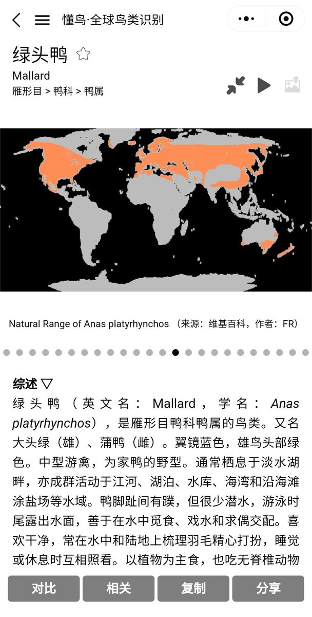 微信有个叫“懂鸟”的小程序，甚至可以听声音辨鸟，用起来很棒。