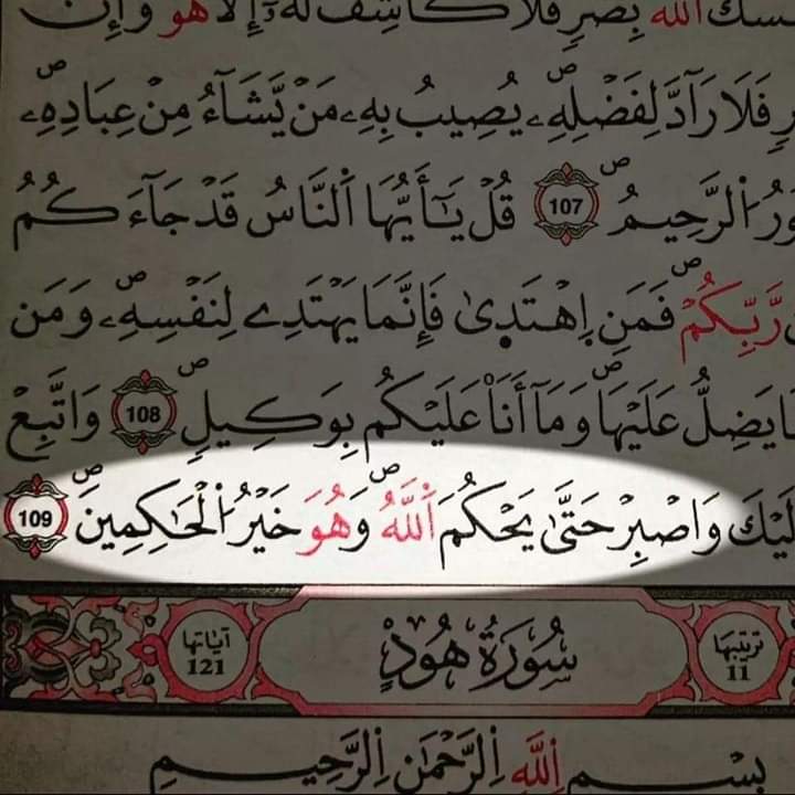 Mohamed Magdy (@medo1512002) on Twitter photo 