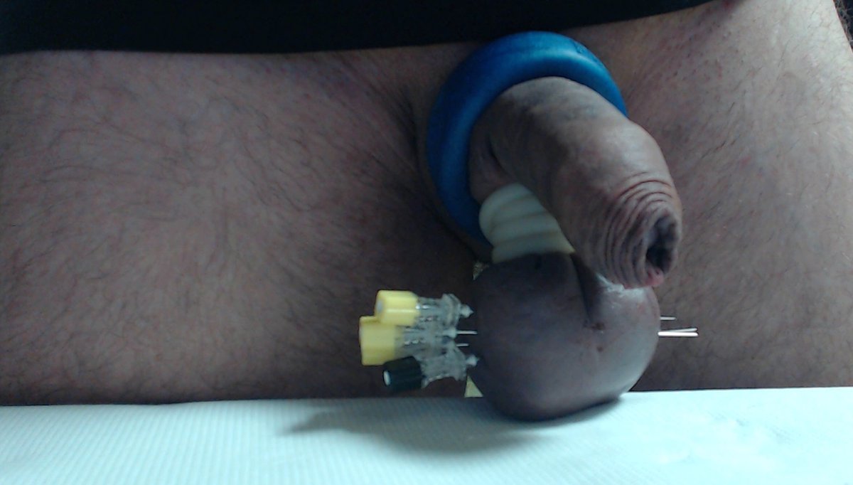 extremekinkyhole slave tweet media