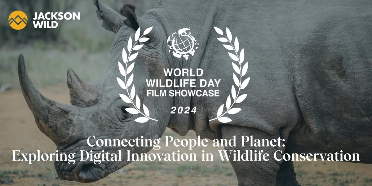 🎞 Are you a digital media creator? 🔍Explore how digital technologies can drive wildlife conservation and human-wildlife coexistence #ForPeopleAndPlanet 👫🦏🐆🐳🌱 🤩 Get inspired by watching #WWD2024 Film Showcase here: jacksonwild.org/digital-innova… @CITES @JacksonWild @UNDP