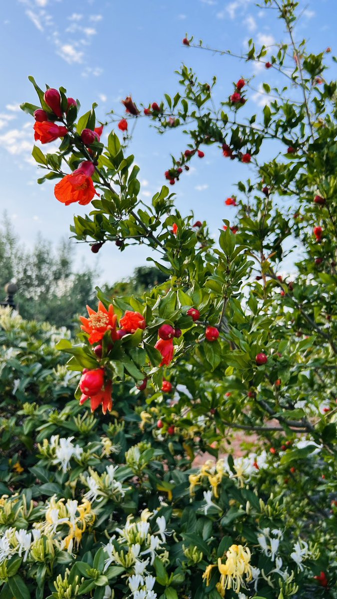 Güzel bir haftasonu olması dileğiyle herkese günaydın... 🌞🌺📸

#mutlupazarlar