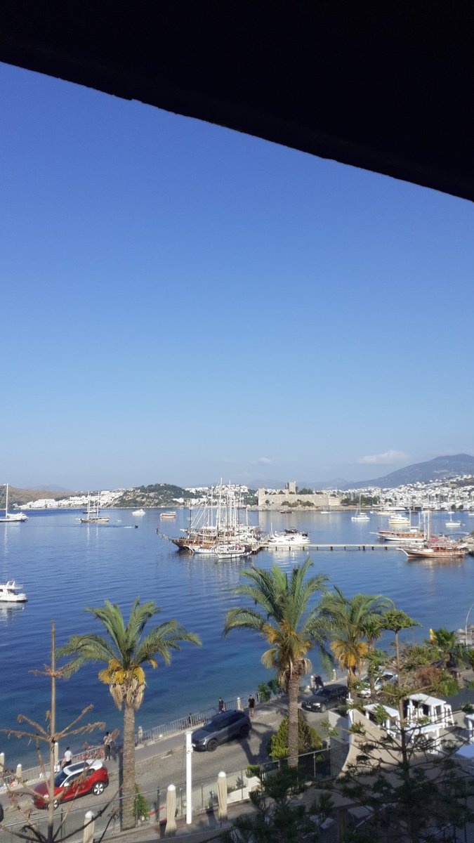 rob gallacher tweet media