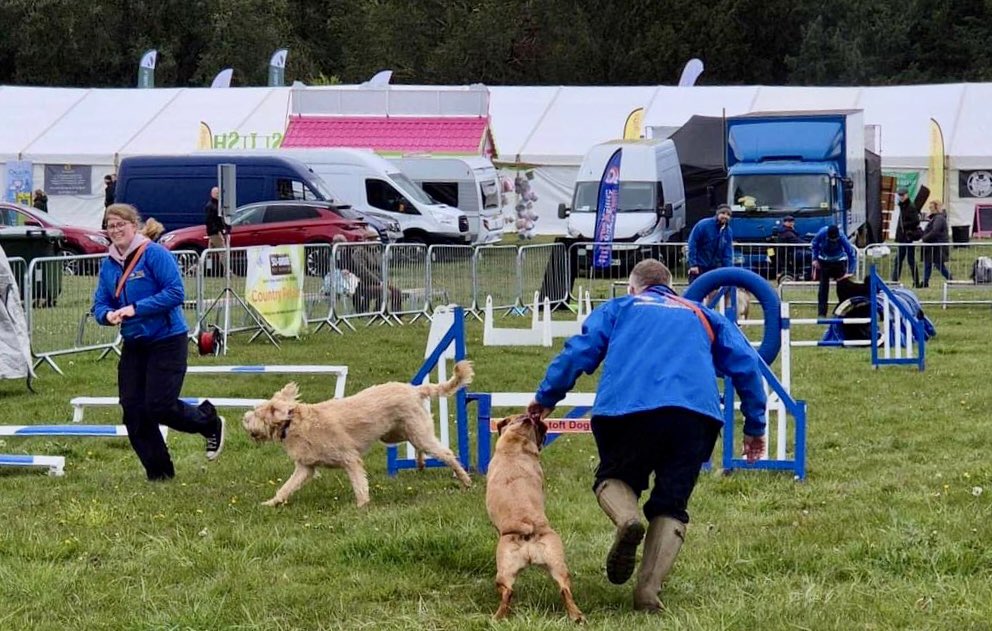 dogagilityteam's tweet photo. A few photos from day 1 @EAGandCFair ⭐️🐾🐾❤️ https://t.co/OFg8j3beLm