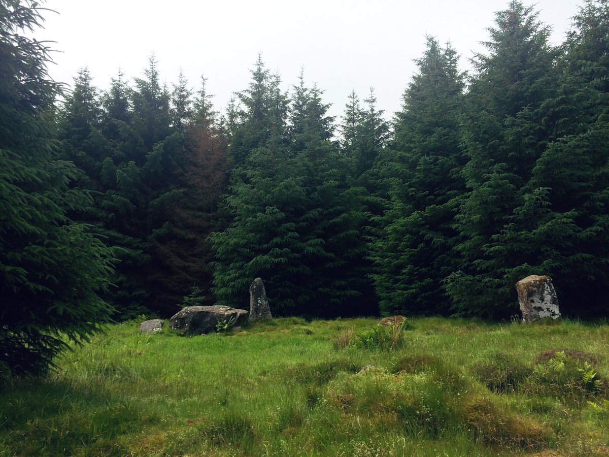 The elusive Loudon Wood Recumbent Stone Circle in Aberdeenshire.

#StandingStoneSunday