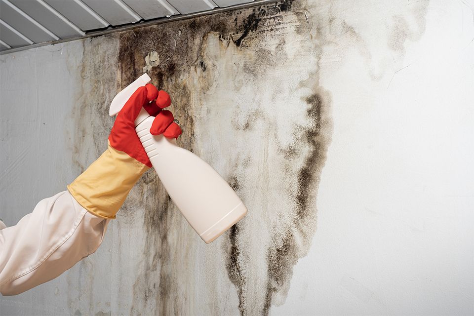RevalAgents's tweet photo. When #mould appears in your rental property, it’s normal to question who is responsible for addressing it. The response to this question is dependent upon several factors: https://t.co/6pQsfWX7X9 #renters #landlords #tenants https://t.co/LIm32BtUG3