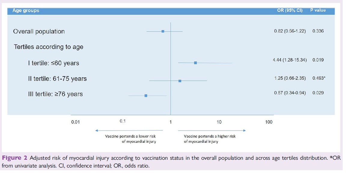 Myocardial injury in patients with SARS-CoV-2 infection according to COVID-19 vaccination status - an age-dependent effect? bit.ly/4aYOsF3 #CVD #EHJQCCO @cpgale3 @diogoasantosfer @adamtimmis