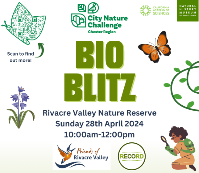 🦋 Drop-in to Rivacre Valley Nature Reserve today (Sunday, 28 April) between 10am to 12pm to support Bioblitz, an event organised by the Friends of Rivacre Valley, part of the City Nature Challenge 👉 cwac.co/wAhi4