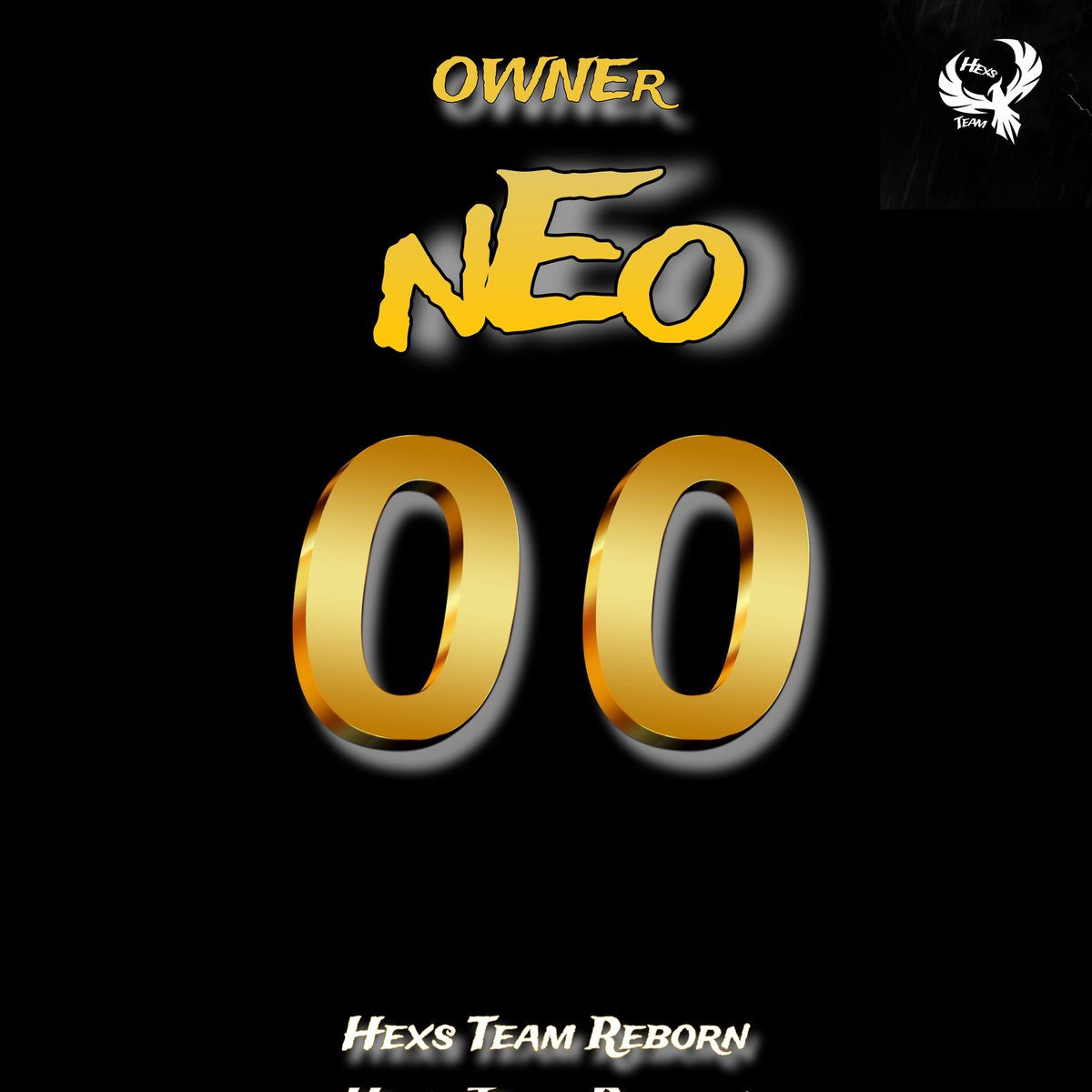 OWNERS OF THE NEW HEXS TEAM REBORN 

    00:zTa                                        00:nEo
 @new_zTa
