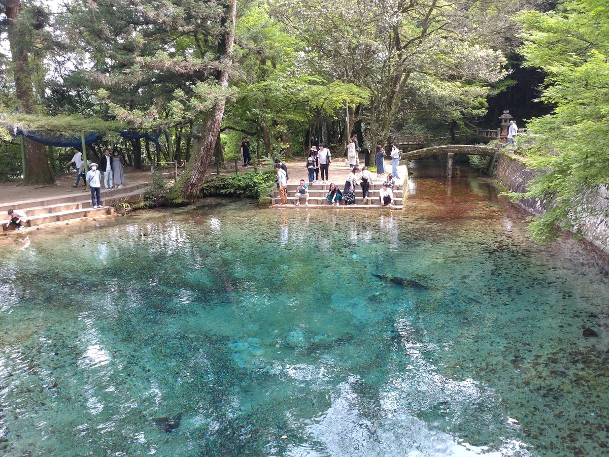 元乃隅神社から1時間🚙
#別府弁天池(美祢市)に到着
エメラルド色の池の水が綺麗なのは言うまでもありませんが、池の底がはっきり見える程の透明度に驚かされます