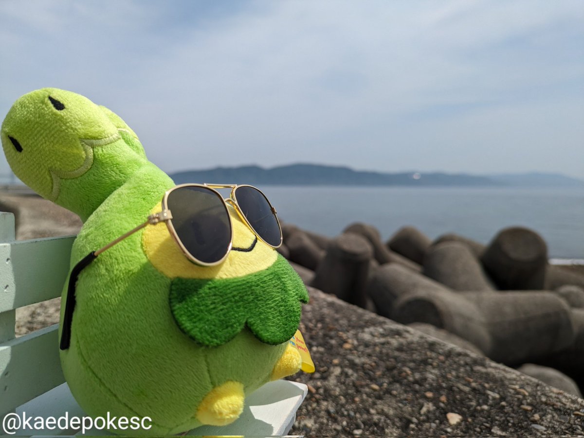 海辺でポケぬい撮影してきました☺️遠くに見えるのは淡路島、スボミーちゃんバカンスしてます😆
#ぬい撮り #ポケぬい
#TLに深刻なスボミー不足