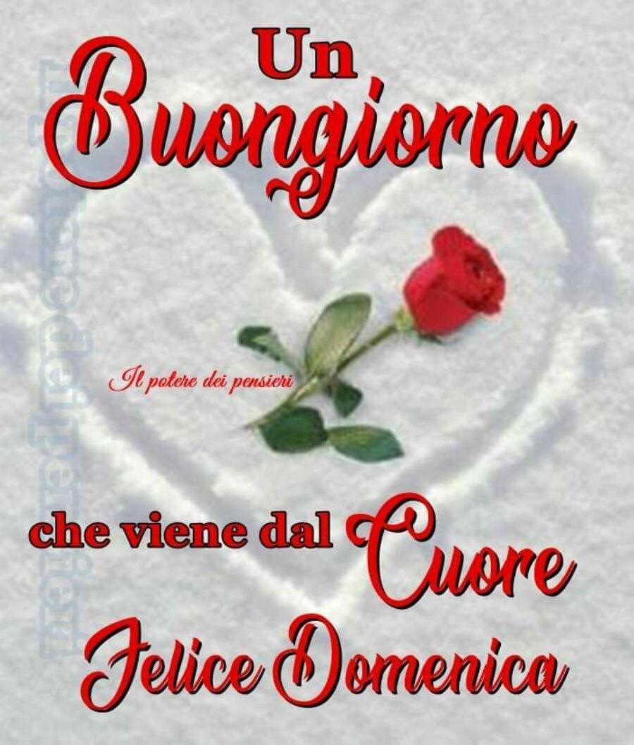 Buongiorno e buona domenica a tutti ☕☕☕☕☕☕☕🥐🥐🥐🥐🥐🥐😘😘😘😍😍😍😍🥰🥰🥰🥰