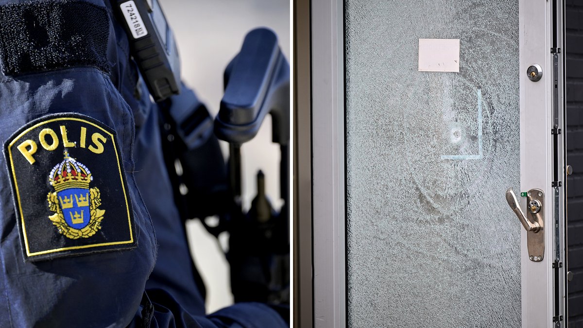 Poliser läcker hemlig information till gängkriminella och värvas genom sexuella relationer. Det visar en granskning som DN har gjort. tv4.se/artikel/4ungTw…