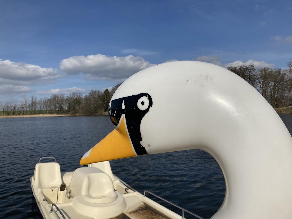 🦢Schönen Sonntag 🦢 #schwan #tretboot #lübschützerteiche #machern