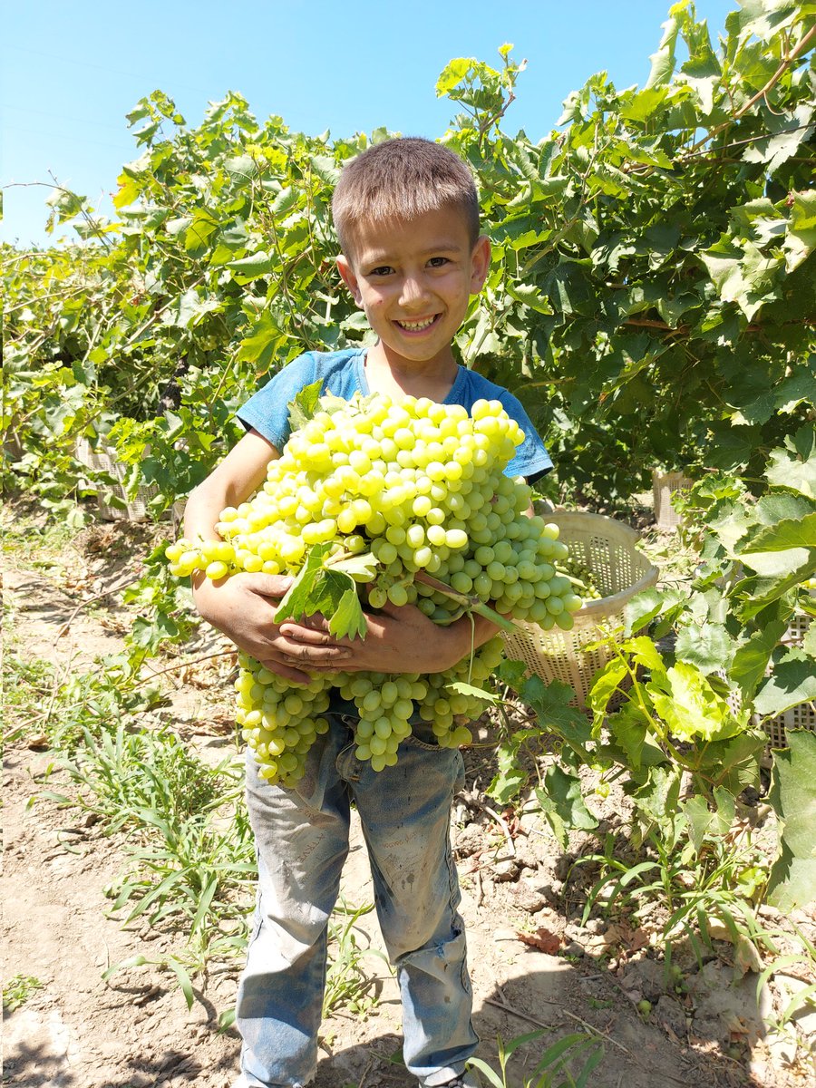 Gününüz Güzel Geçsin 💐 🍇 🧒