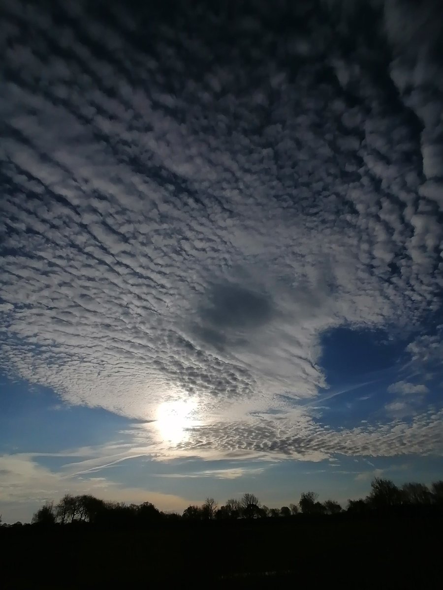 10 sympathische Grad, Team Vögel klingt maximal begeistert, ein sogenannter Sonntag. Erstmal das Bewusstsein sanft mit Kaffee beträufeln. Einen wunderschönen guten Morgen Welt. Moin Sweethearts ☕☕☀️☕☕