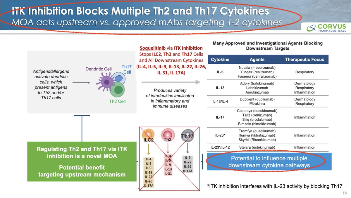 $CRVS #Soquelitinib significant advantages over current #atopicdermatitis #asthma therapies:
SQL oral vs monoclonal antibodies subcutaneous/IV
SQL blocks 8-10 cytokines at once vs only 1-2 by others
SQL is upstream blocks #Th2, #Th17 cells
SQL very safe as shown in #PTCL trial