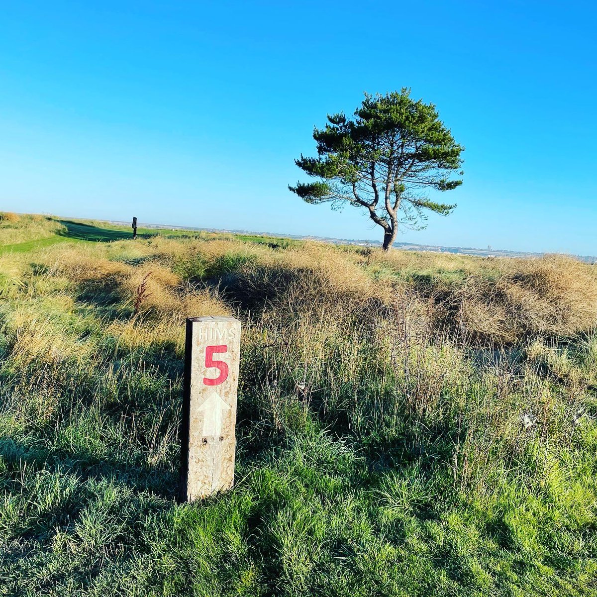 Princesgolfclub tweet picture