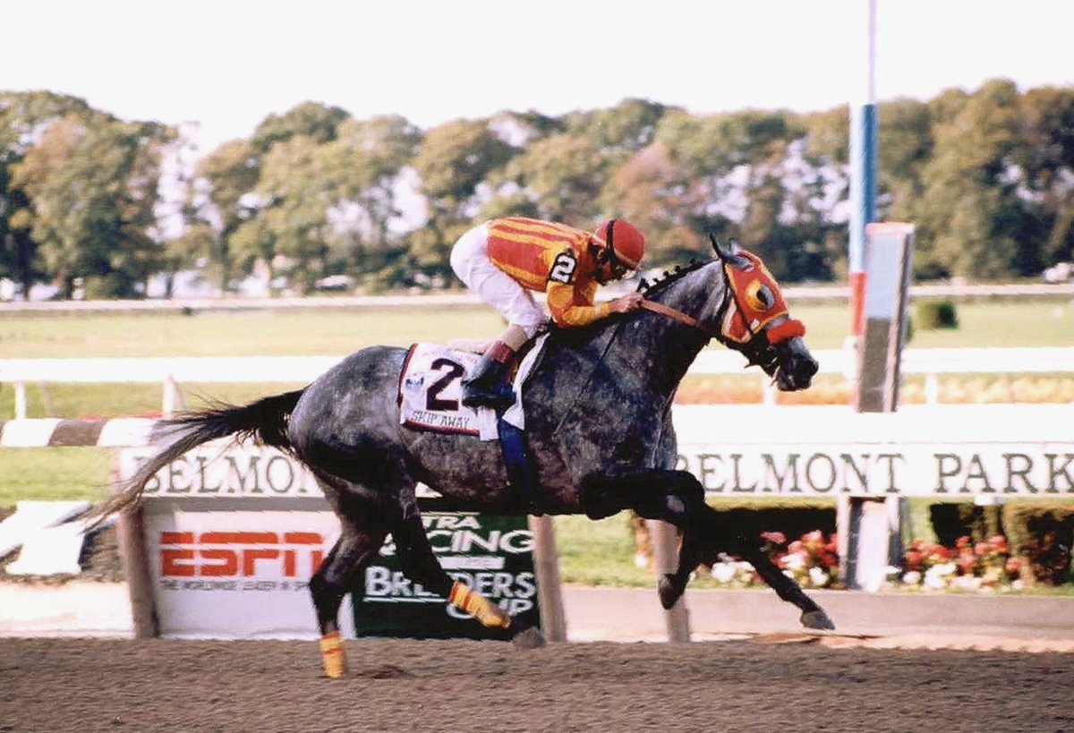 USASteeplechase's tweet photo. The 90s, brought us legends like Tiger Woods, Whitney Houston, Gazza, Tonya Harding, Tyson and the The Notorious B.I.G!
But who was your favorite racehorse of the decade? 🧐
#Lure #GoForWand #APINDY #HOLYBULL #SILVERCHARM #SKIPAWAY #Cigar #Lammtarra #MorleyStreet #Istabraq #VictoryGallop
Photo Credit - @eviti_viti