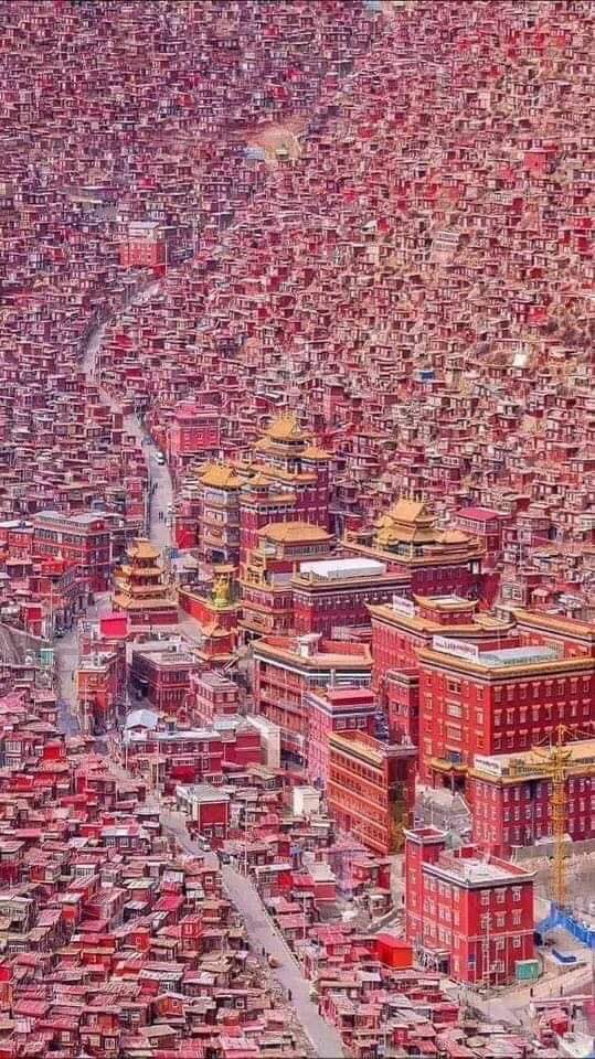 TİBET Çünkü Tibet kayalık yüksek dağların ortasında, ağaçlar burada yetişemez. Tibet, görkemli Himalayaların ortasında, dünyanın çatısı...!!