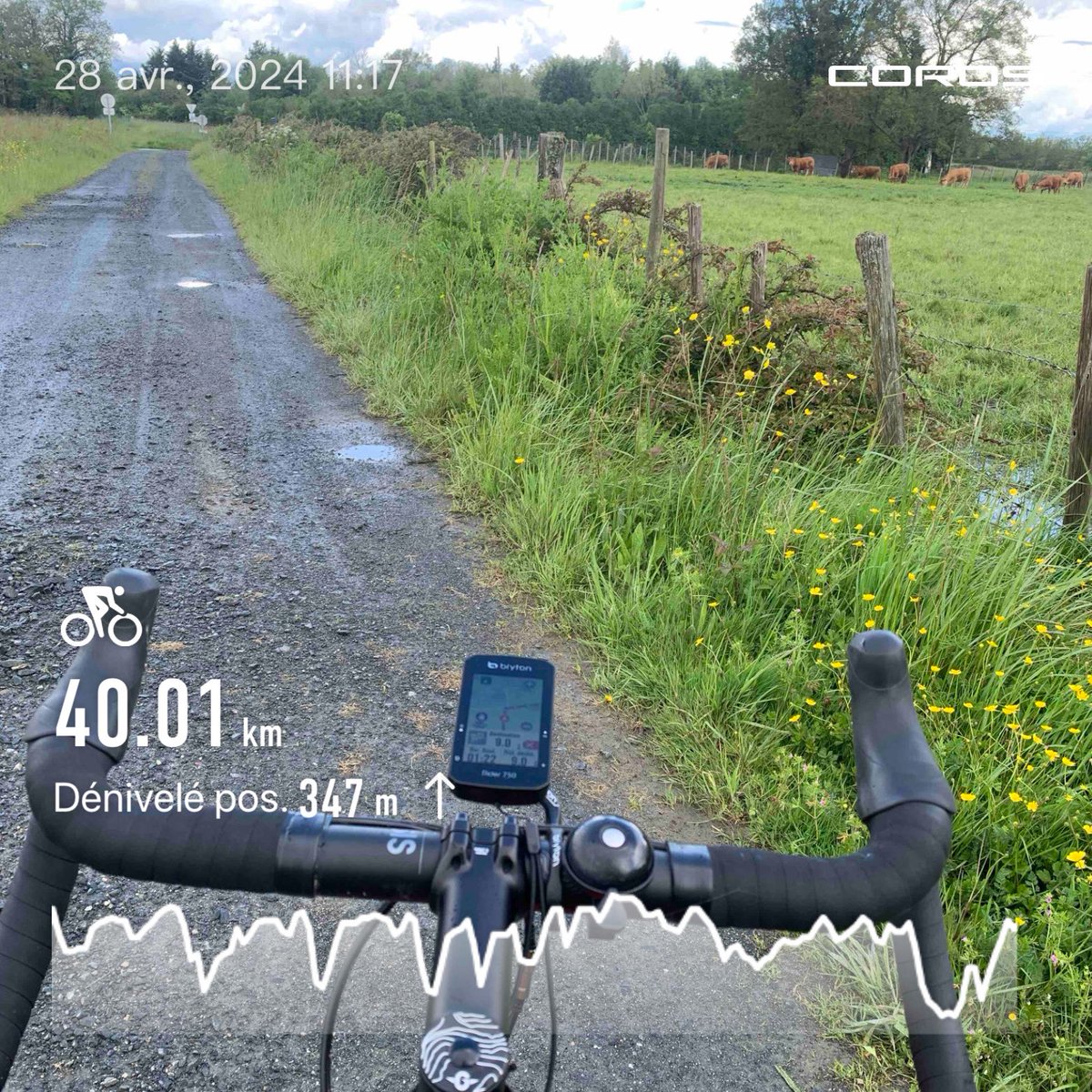 DaddyKLO's tweet photo. Sortie Gravel, de retour en terres Ligériennes #WhyWeRoll https://t.co/4bnHLul8kR