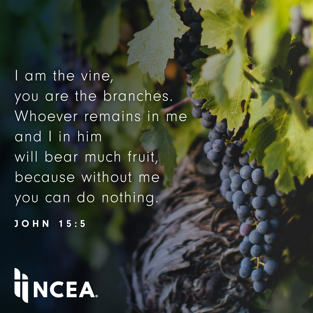 What does 'bearing fruit' look like in your life? As branches connected to the vine, we are called to bear fruit not only for ourselves but also for others. Reflecting on today's Gospel, consider how you can share the love and truth of Jesus with those around you this week.