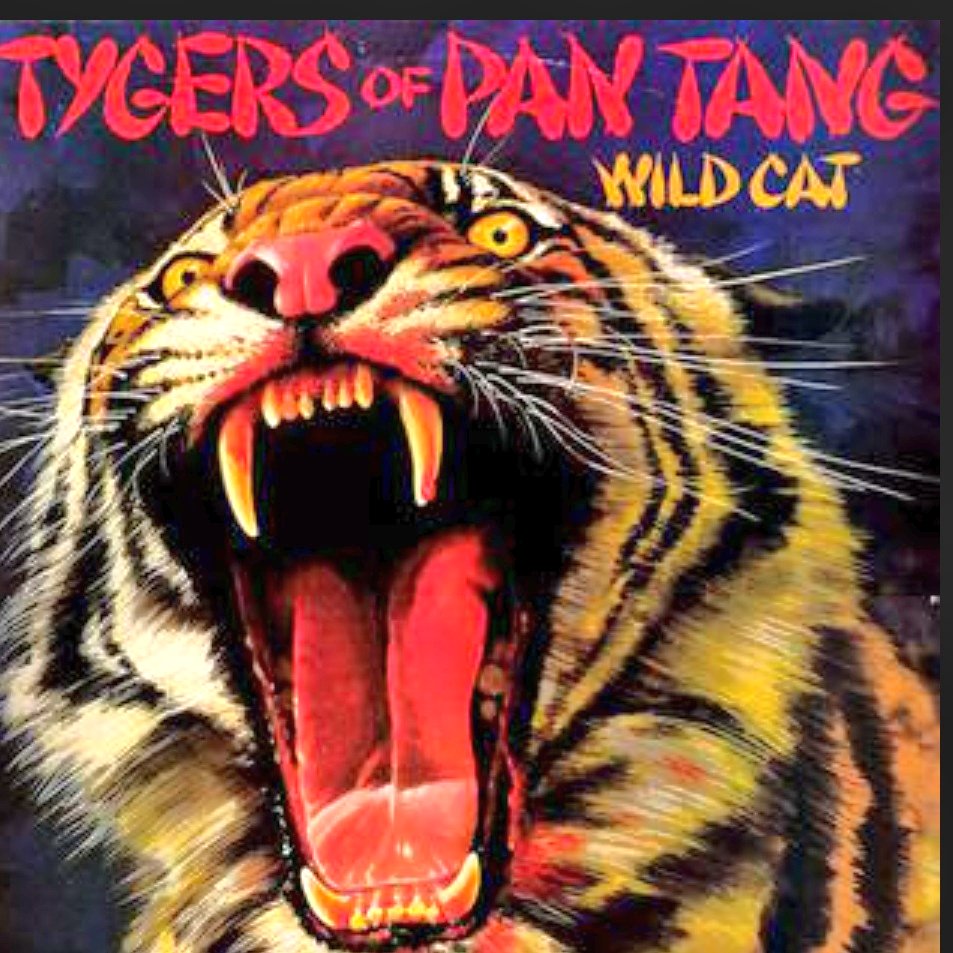 #TygersOfPanTang 'Wild Cat'(1st, 1980) 70年代中期から徐々に盛上り、1979年にNWOBHMという用語が産まれたムーブメントにおいて現れたバンドのデビュー作🎵 Don't Touch Me There youtu.be/iyh2SMAZpyU?si… Suzie Smiled youtu.be/kW7cLd-_8lw?si… #HeavyMetal