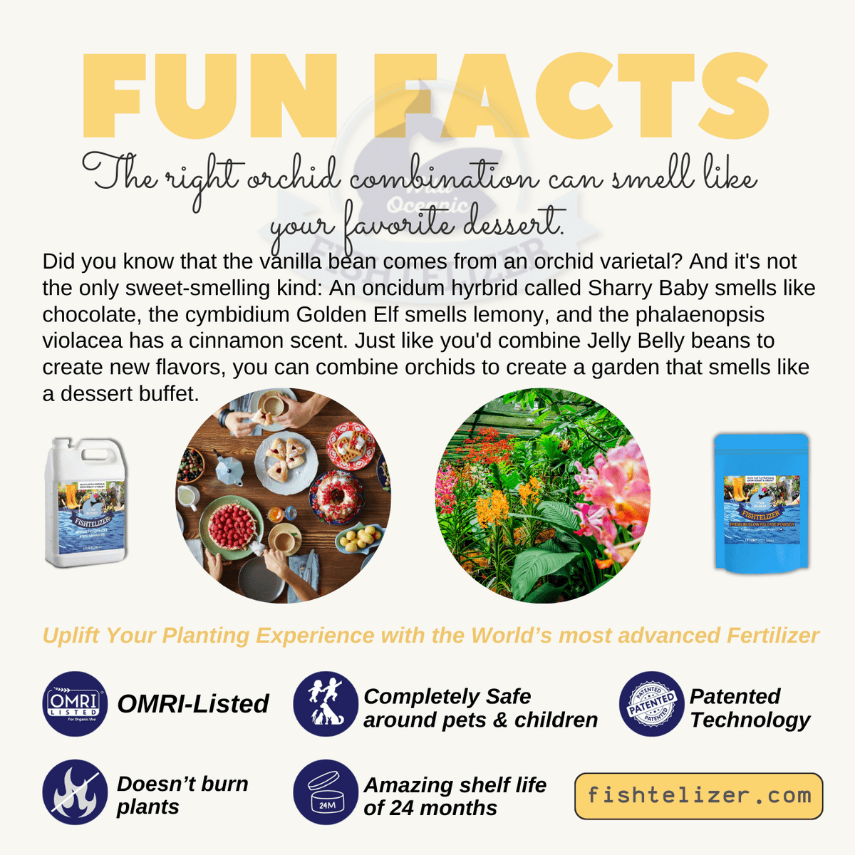 Fishtelizer's tweet photo. FUN FACT ABOUT PLANTS 📢🌱☀️ 🕵️‍♀️

Follow @fishtelizer for interesting content 😍😍

 #fertilizer #nitrogenrichfertilizer #planting #gardening #gardeningathome #growvegetablesathome #boostplantgrowth #hydroponics #madeinusa #funfacts #plantsfacts #plantingfacts #microorganisms https://t.co/GvW0bKA0Cf