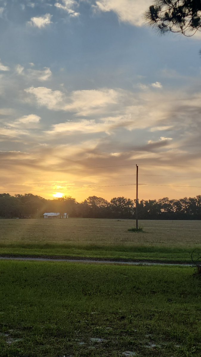 Easy like Sunday morning... #jeeplife #wrangler #yj #realflorida