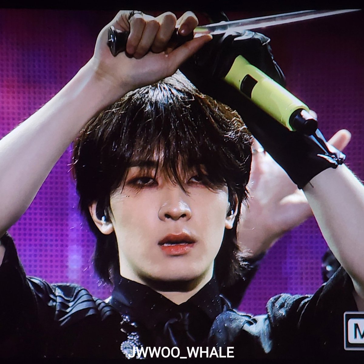 wonuoiawoo's tweet photo. cute as hell                                     WHAT THE HELL https://t.co/ImuSC5ygq6